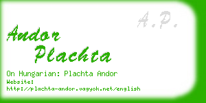 andor plachta business card